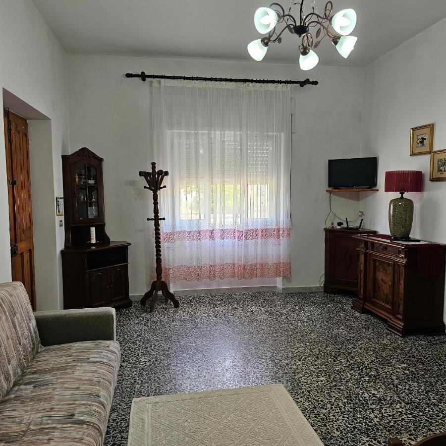 Appartamento Telti Esterno foto